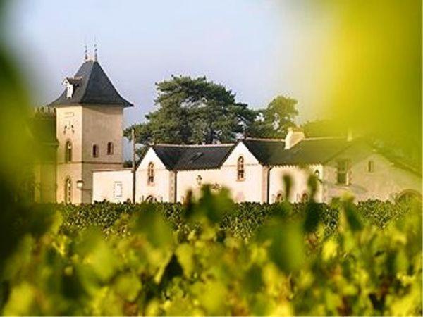 Domaine De La Soucherie - Chambres D'Hotes Beaulieu-sur-Layon Exteriör bild