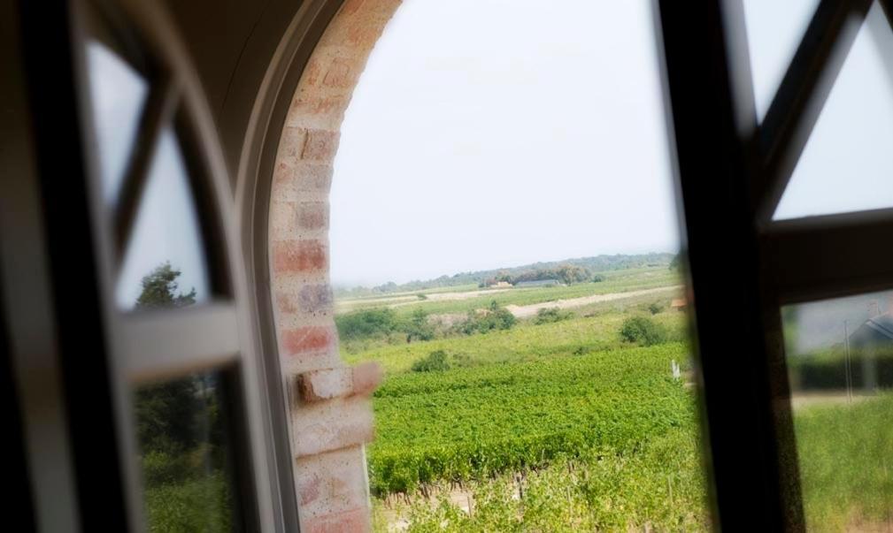 Domaine De La Soucherie - Chambres D'Hotes Beaulieu-sur-Layon Exteriör bild
