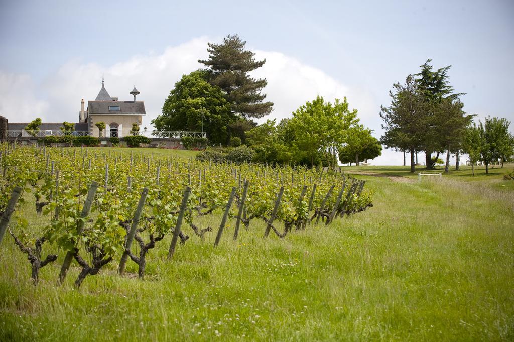 Domaine De La Soucherie - Chambres D'Hotes Beaulieu-sur-Layon Exteriör bild