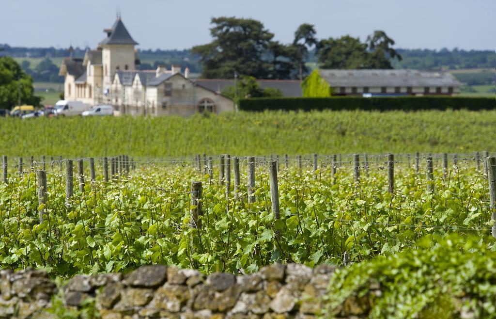 Domaine De La Soucherie - Chambres D'Hotes Beaulieu-sur-Layon Exteriör bild